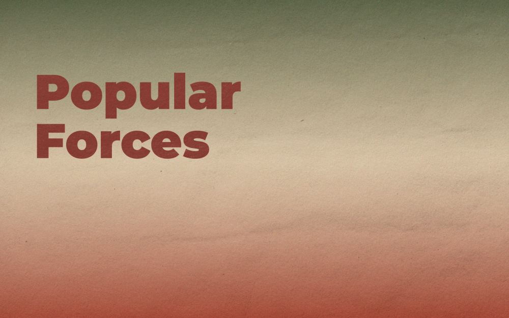 Popular Forces